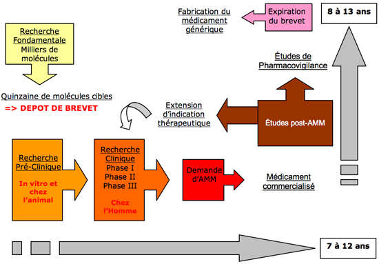 Schema récapitulatif : De la recherche fondamentale au nouveau médicament